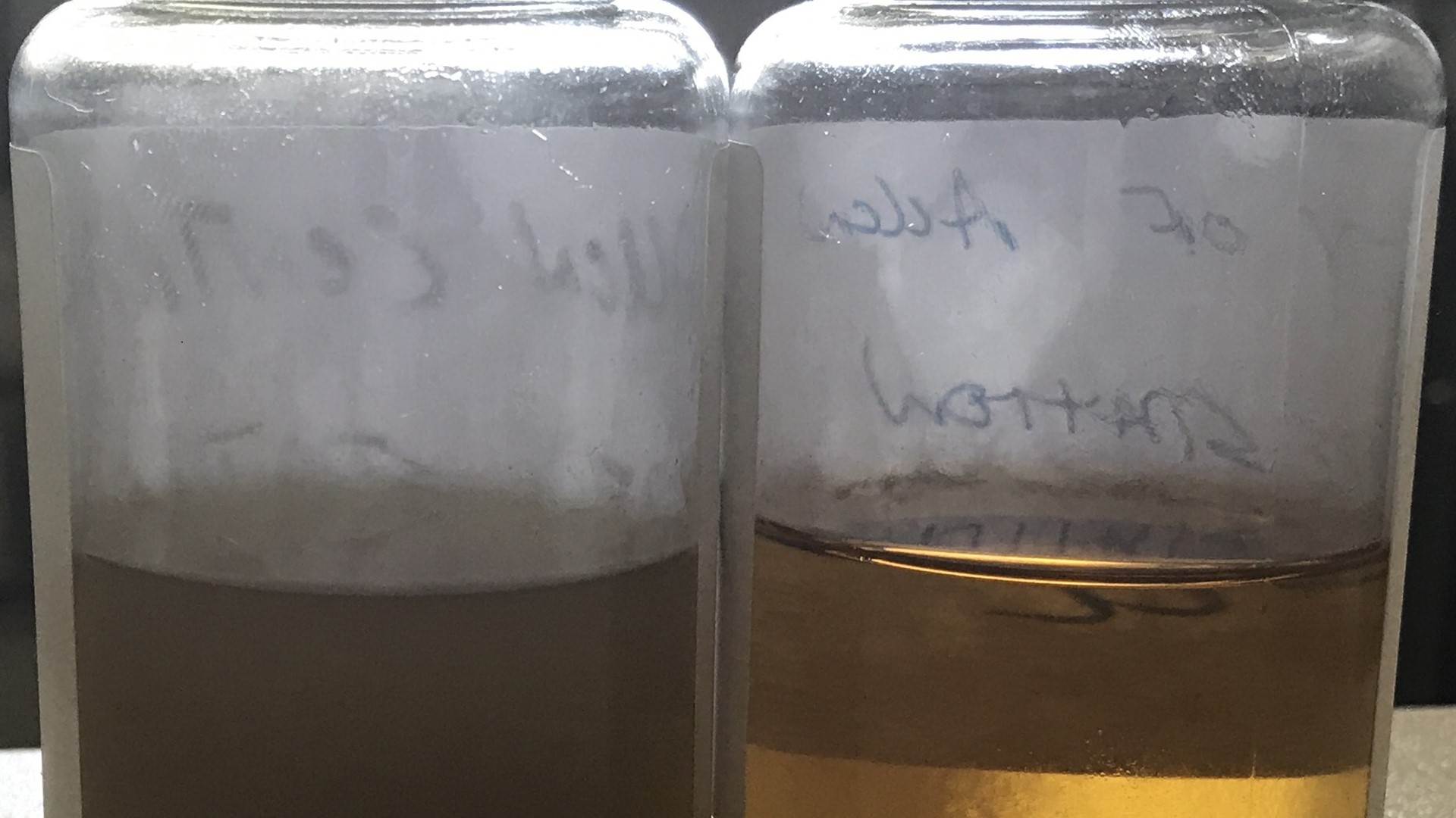 Should the hydraulic oil be replaced?
